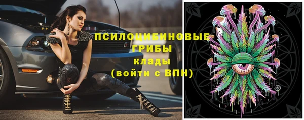 амф Беломорск