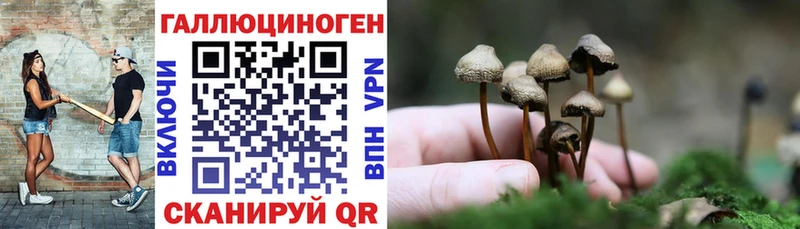 Псилоцибиновые грибы Cubensis Полесск