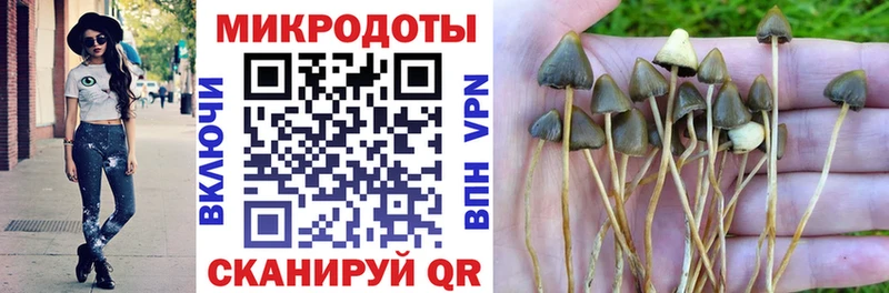 Галлюциногенные грибы GOLDEN TEACHER  hydra сайт  Полесск 